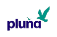Pluna