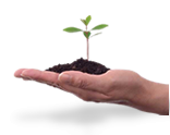 Programas de Coaching Gerencial
